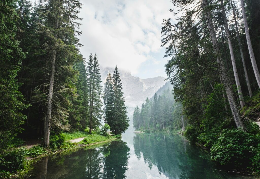 Forest waterfall and lake landscape